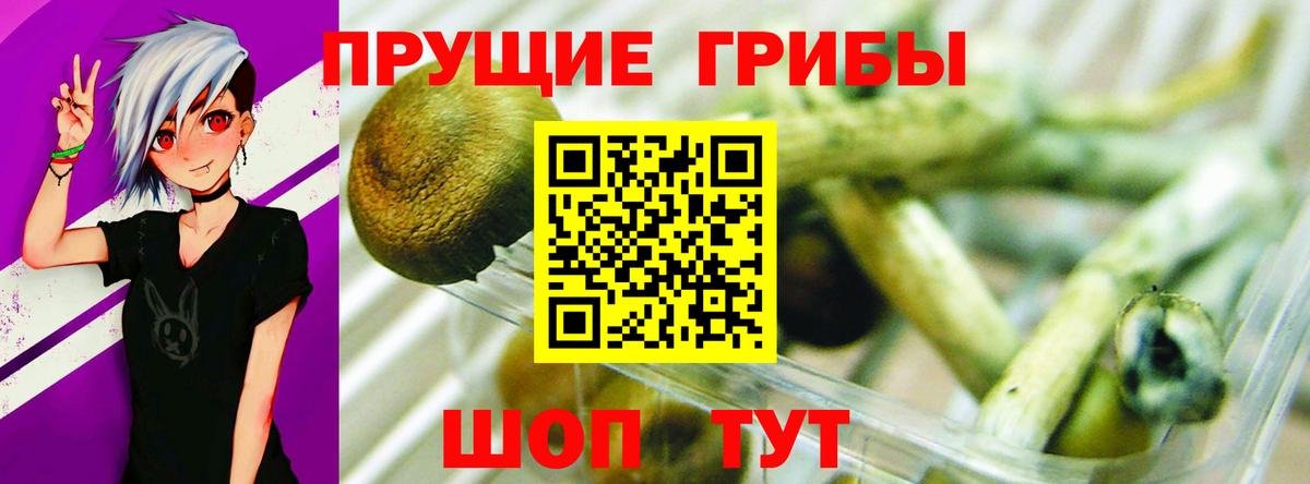 Галлюциногенные грибы ЛСД  Вход с VPN  Галлюциногенные грибы Magic Shrooms  Орёл 