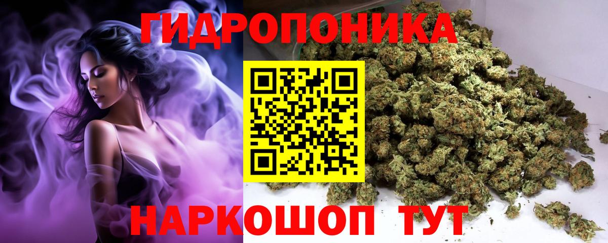 Бошки Шишки MAZAR Орёл